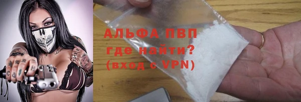 хмурый Алексин