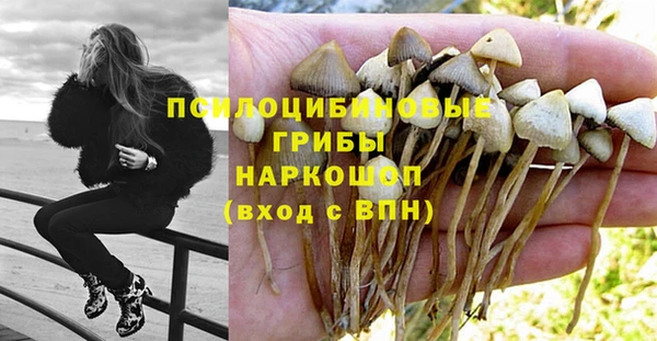 Альфа ПВП Алексеевка