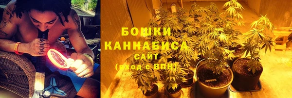 стаф Пересвет