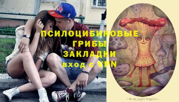 Альфа ПВП Алексеевка