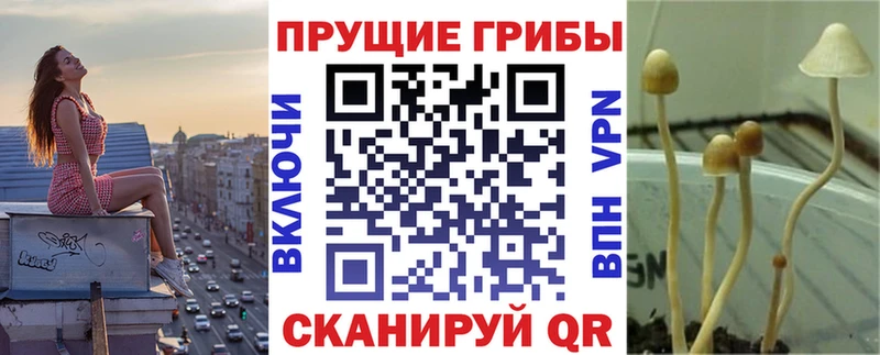 Галлюциногенные грибы Psilocybe  hydra ссылка  Новомичуринск 