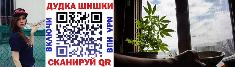сколько стоит  Новомичуринск  Бошки марихуана индика 